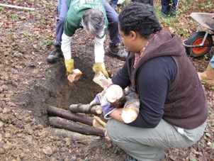 Dacres Wood building a Hibernaculum